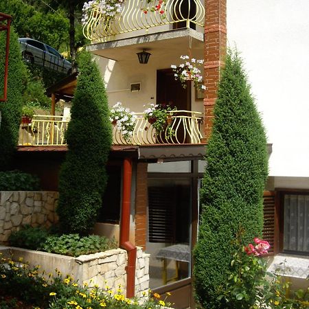 Guest House Rusalka شيبكوفو المظهر الخارجي الصورة